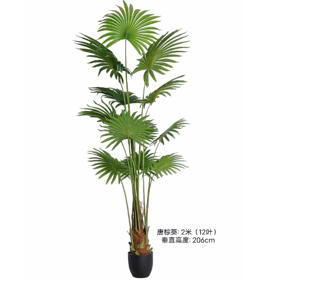 200cm