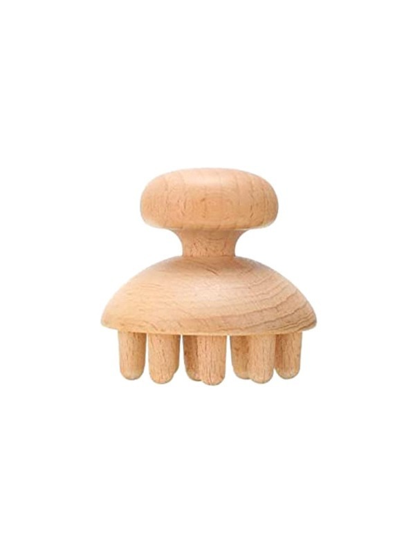 legno robusto5