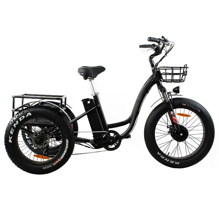 홈 유틸리티 빈티지 전기 여객 세발 자전거 48V13Ah 배터리 성인 전기 세발 자전거 3 휠 Trike 전기 세발 자전거 스쿠터