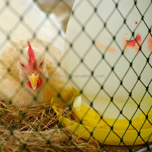 ตาข่ายรั้วไก่พลาสติกตัดตามความต้องการของตาข่ายไก่ - Product Image 2
