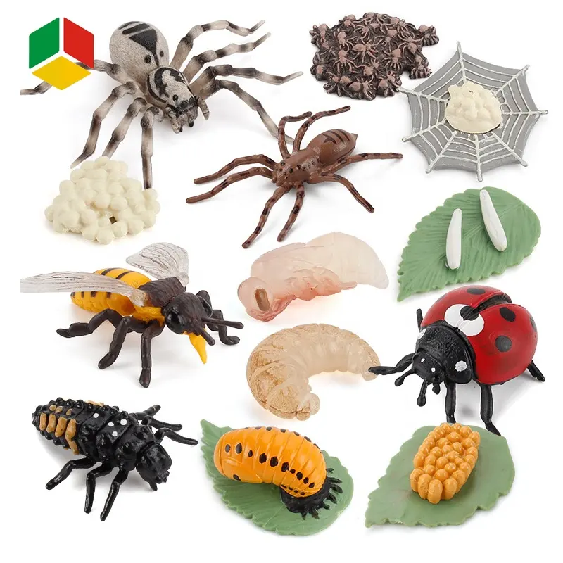 QS-juguete de simulación de crecimiento de vida de animales, mariposa, hormiga, Mosquito, Rana, Tortuga, Kit de ciencia para niños, experimento de juguete de plástico para la venta