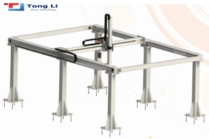 Línea de producción Robot cartesiano tipo pórtico de 3 ejes para recoger y colocar - Product Image 5