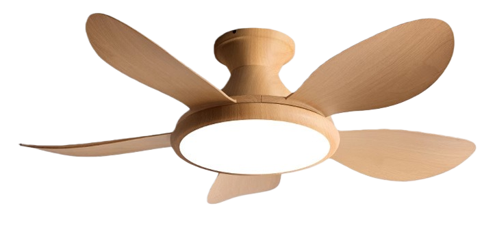 Grain de bois complet