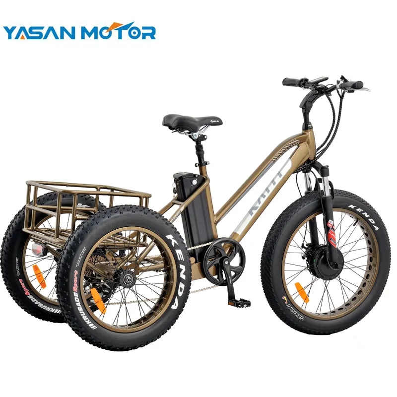 2019 सुपर लक्जरी 24 इंच वसा टायर BaFang 500w बिजली कार्गो Tricycle वयस्कों के लिए/बड़े लोगों