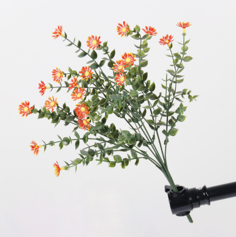 Naranja