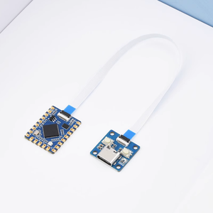 Rprpsıfır ahududu PI PICO tipi C portu ile yeni orijinal RP2040-Tiny modül geliştirme kurulu