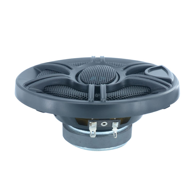 COMME LA PHOTO MONTRE