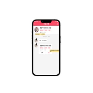 Anpassbares Online-Chat-System für die Entwicklung von Desktop-Anwendungen für Heiraten und soziale Dating