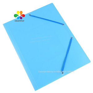 高品质塑料文件盒彩色文件收纳盒定制尺寸盒式办公室文件带 - Product Image 6