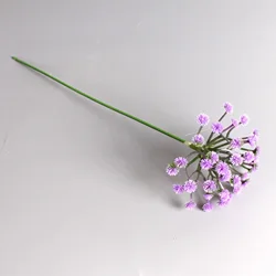 Pourpre