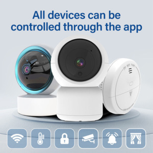 Современная система автоматизации для дома - Product Image 4