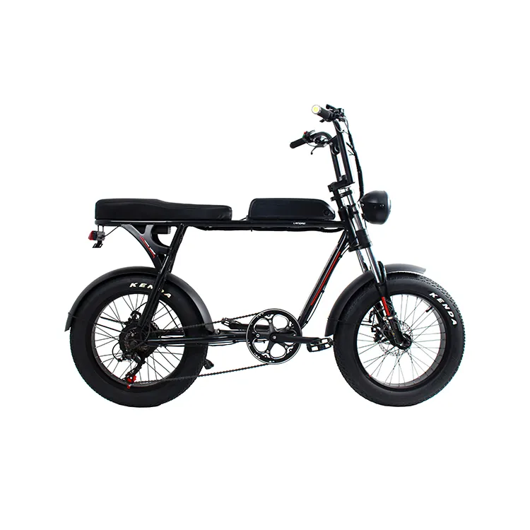 Bafang vélo de fond électrique pour enfants avec moteur 48V 500W, de haute qualité, à bas prix, un bon achat de vélo électrique pour la neige.