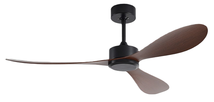 วอลนัทดำ