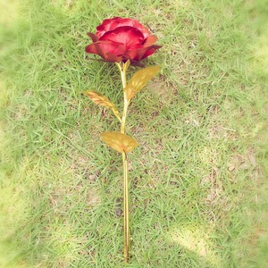 人工バラ卸売ギフトシングル人工24K金箔バラの花愛バレンタインデーギフト