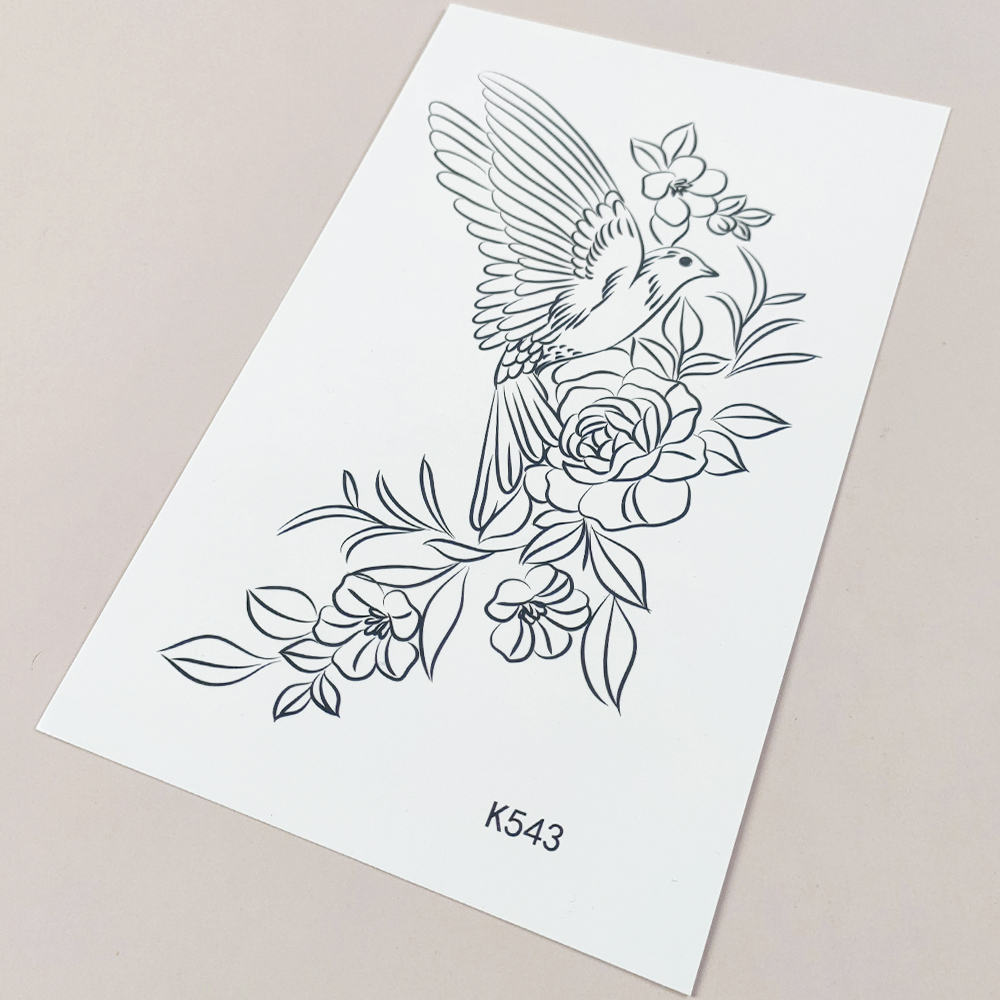 K543