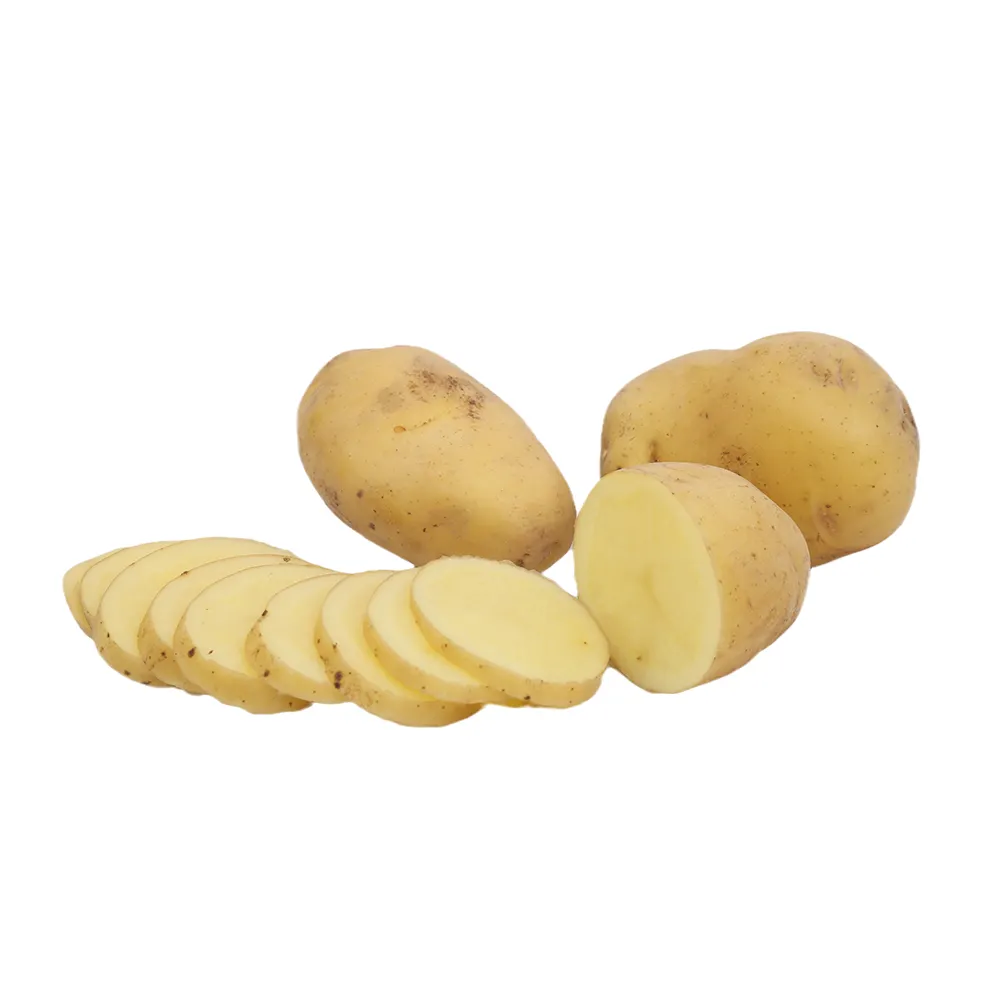 Patatas de fontano DE PAÍSES BAJOS, verduras frescas de exportación, venta al por mayor
