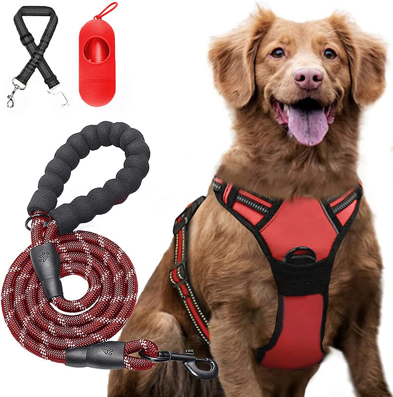Conjunto rojo de 4 piezas