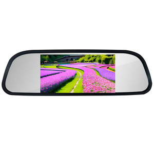 Monitor de sistema de aparcamiento de datos colorido OEM de 6 pulgadas, espejo retrovisor de coche, sensor de aparcamiento inverso, cámara trasera - Product Image 1