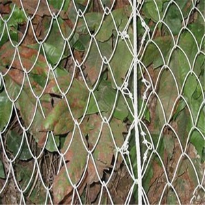 Rete di protezione da caduta con rete di protezione esagonale rinforzata con Anping - Product Image 2