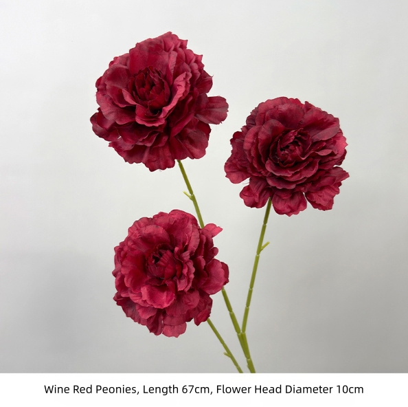 Wine Red Peonies