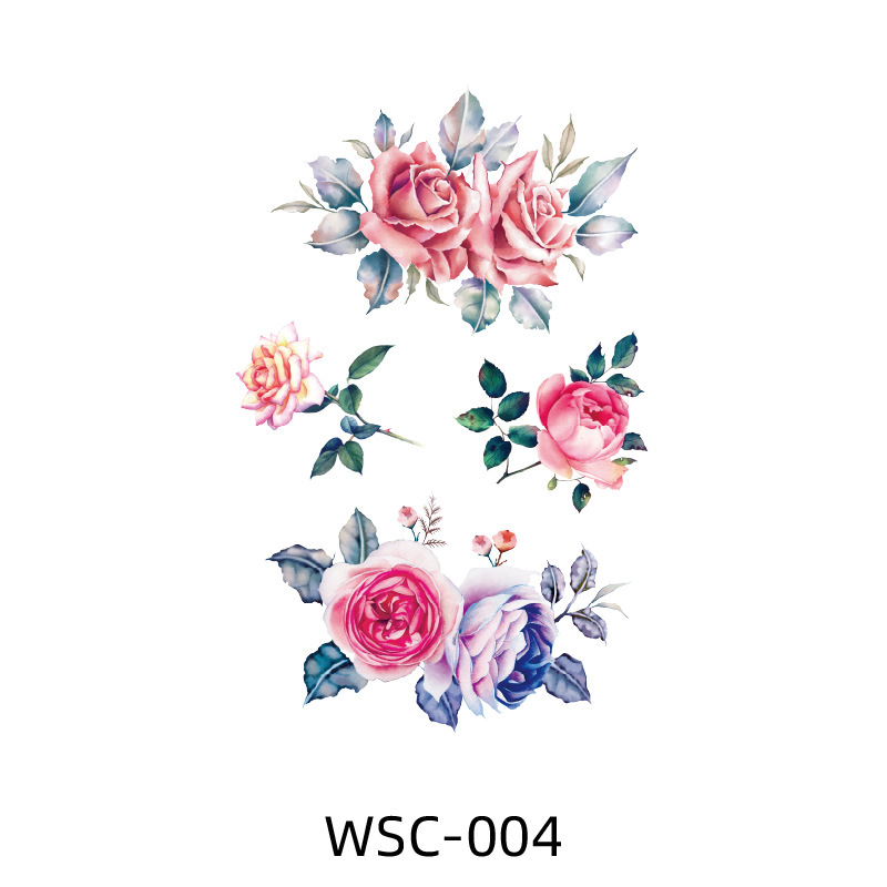 Wsc-004