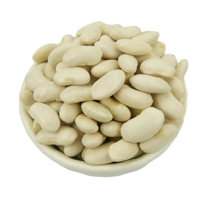 Wholesale Dried White Beans White Kidney Bean Navy Beans