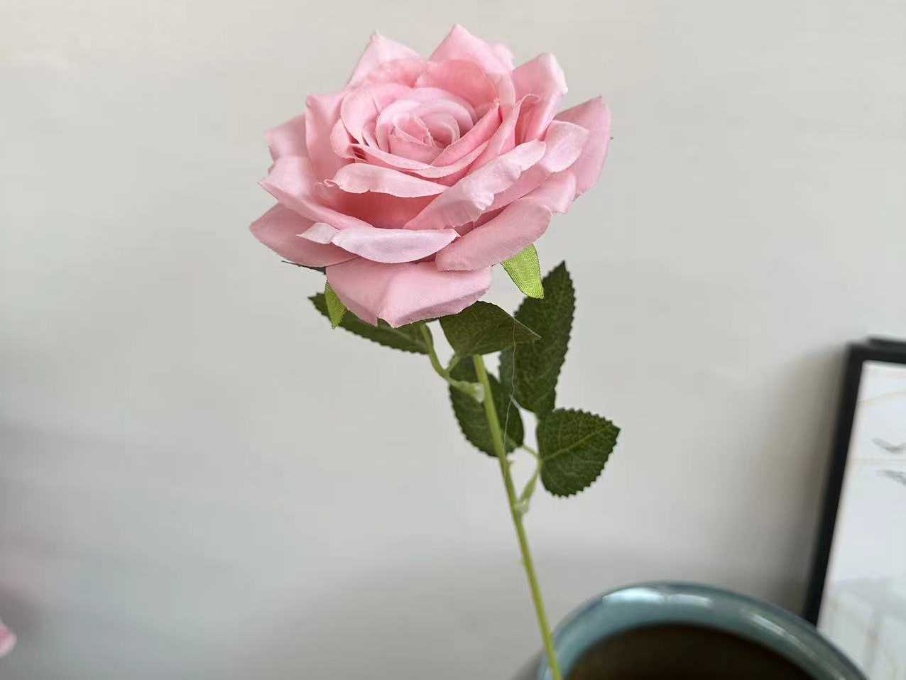 Rosa intenso