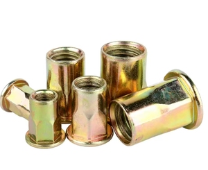 M12 Countersunk <strong>M16</strong> M3 M8 Blind SS Stainless Steel 1/4-20 Copper-Plated <strong>Rivet</strong> <strong>Nut</strong> 3/8 Flat Head Knurled Mining Industry Zinc