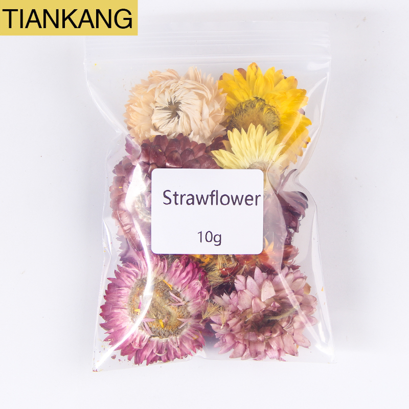 Immortelle