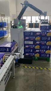 Boevan Collaborative <strong>Robot</strong> Palletizer Arm Pick and Place <strong>Palletizing</strong> <strong>System</strong> for Cobot Palletizer Price - Product Image 5
