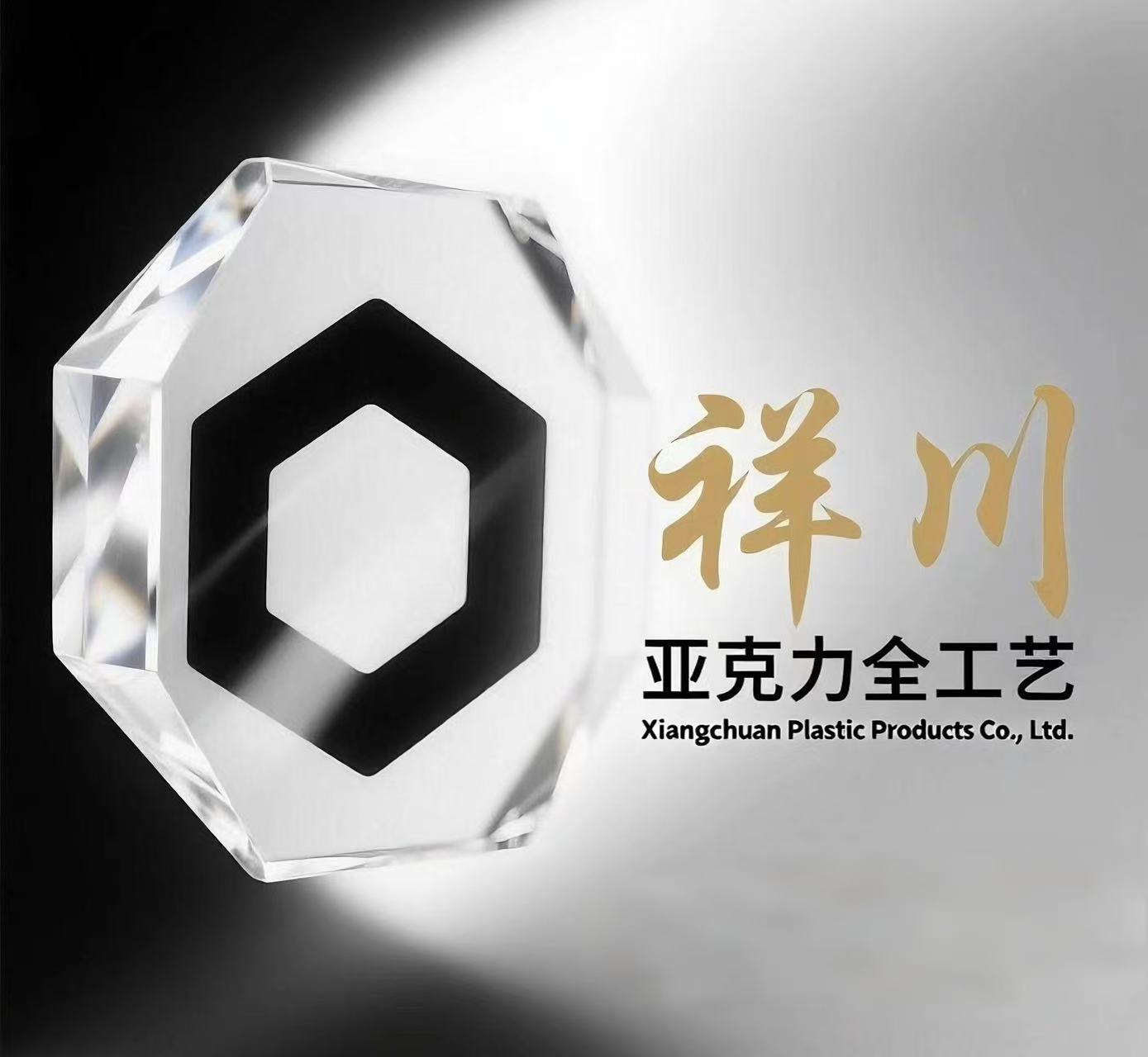 company logo
