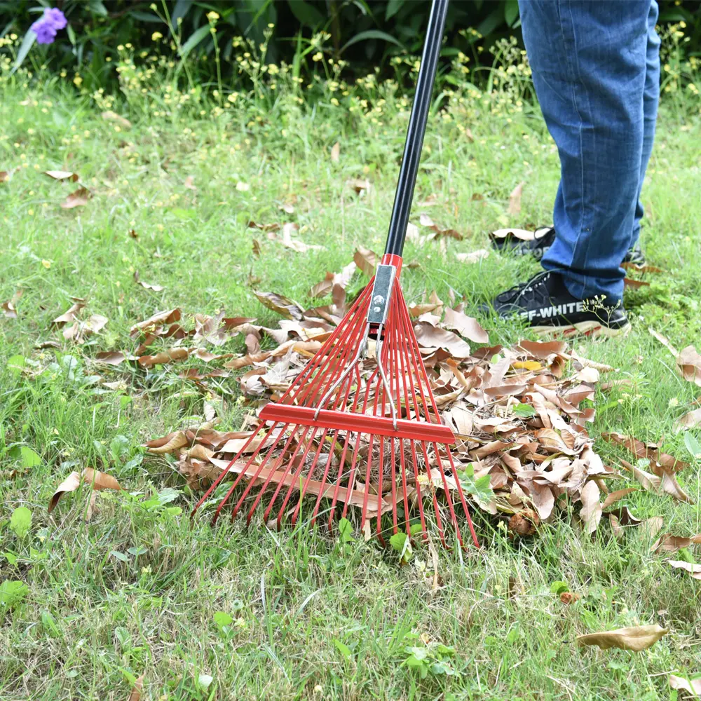 Promotie Lichtgewicht Stalen Lente Gazon Tuin 24 Tine Flexibele Brace Tuin Gazon Harken