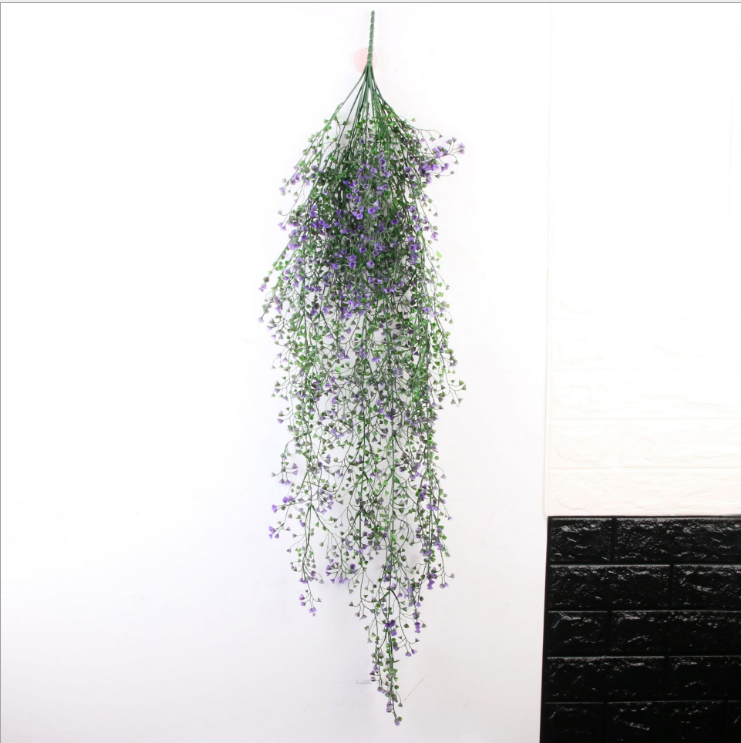 Pourpre