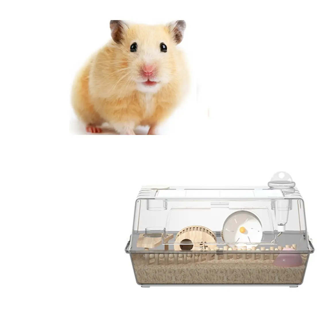 Acryl Meers chweinchen Haus für Hamster Hängematte Ratte Chinchilla Rennmaus mit Wasser flasche
