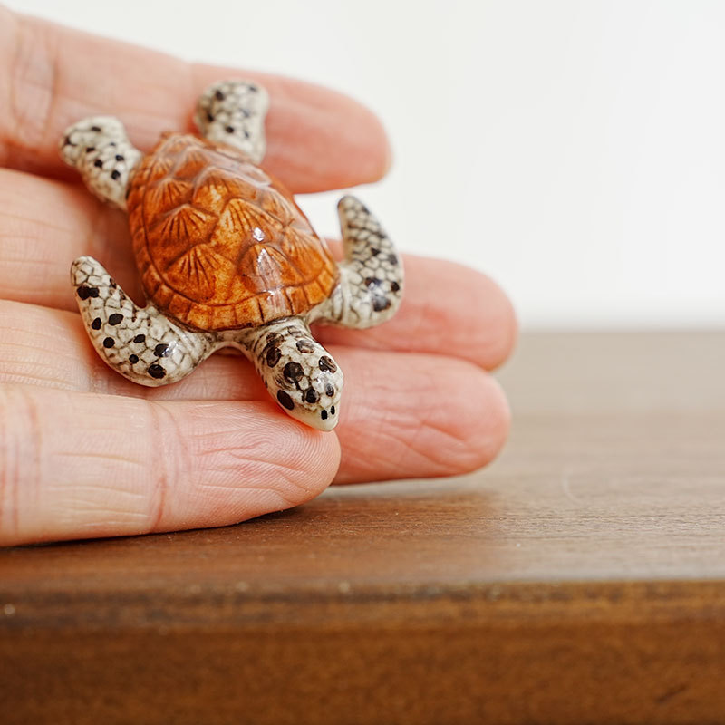 Tortuga