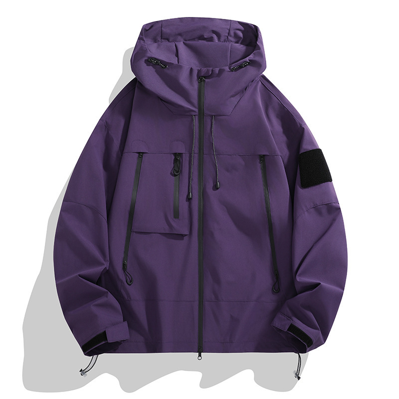 Viola