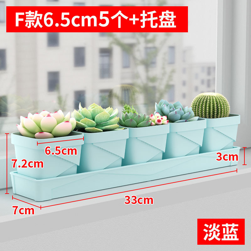 Style F, bleu clair, 6,5 cm, une seule rangée de 5 plateaux