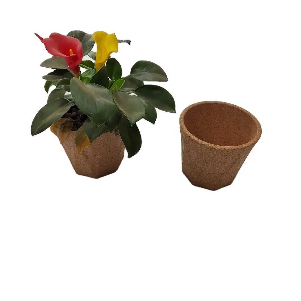 Vaso de planta de cortiça, vaso de flores para uso personalizado, termoformado, listrado