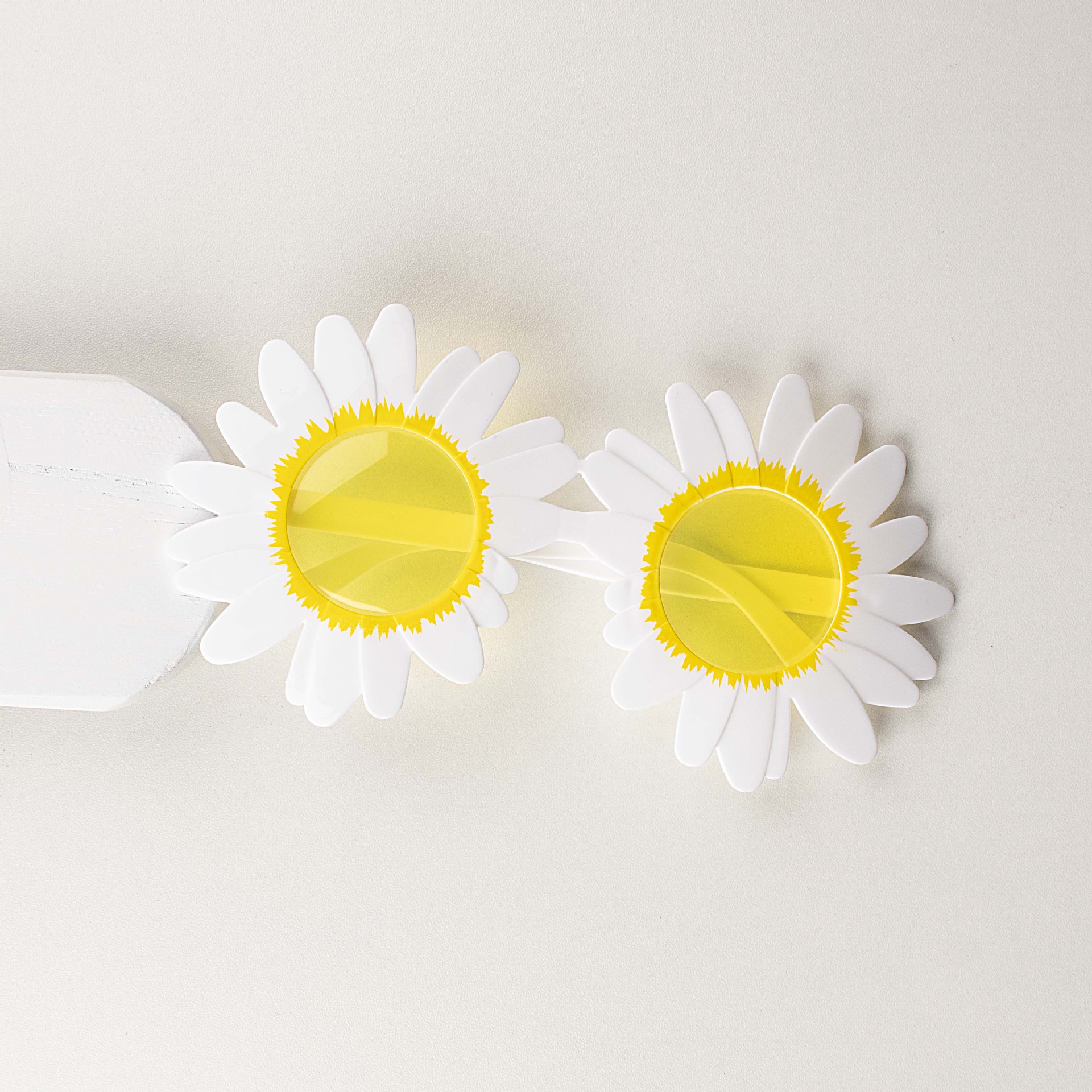 Tranches jaunes de tournesol blanc