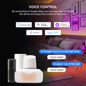 Контроллер Tuya Wifi SPI RGB для WS2812B WS2811 Адресуемая Светодиодная лента с поддержкой Alexa Google Assistant, голосовое управление Yandex - Product Image 6