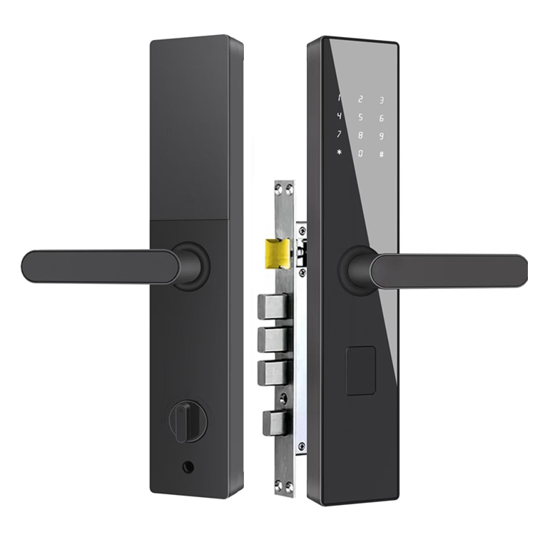 TTlock + Contraseña + Tarjeta + Llave