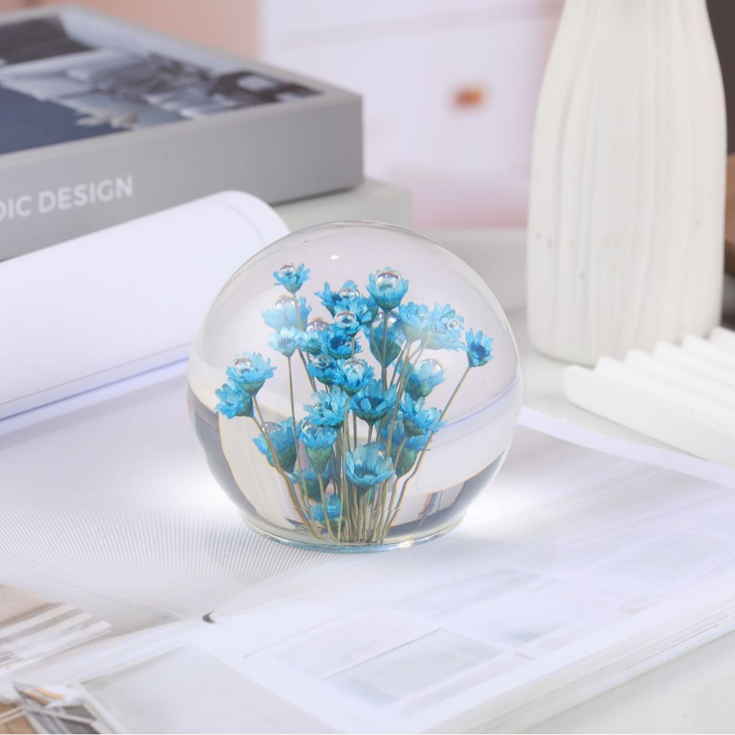 Single blue [Brazilian Daisy