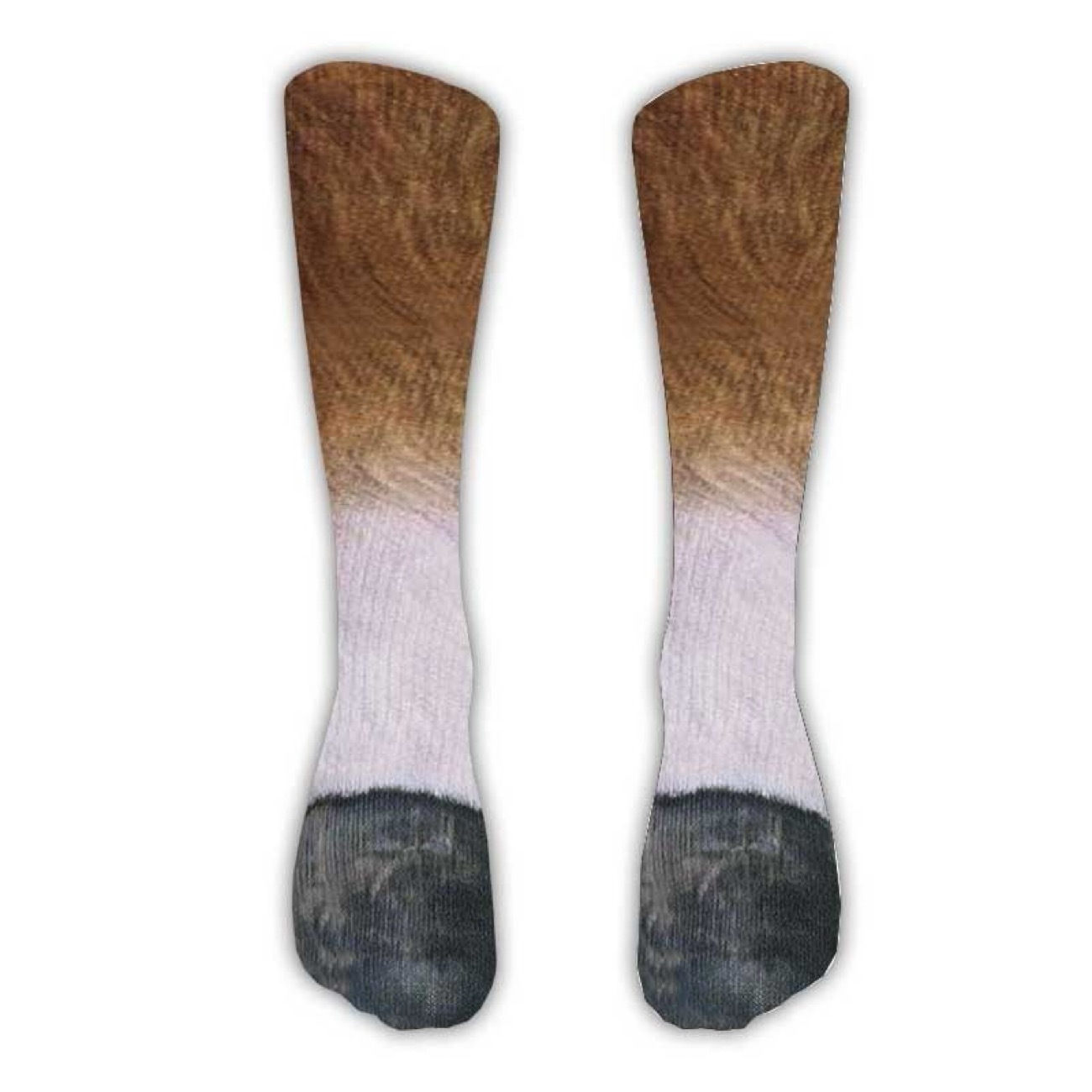 Horse hoof