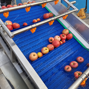 Macchina automatica continua a bolle di frutta e verdura piccola scala lavatrice e macchina di smistamento per la pulizia del Mango arancione