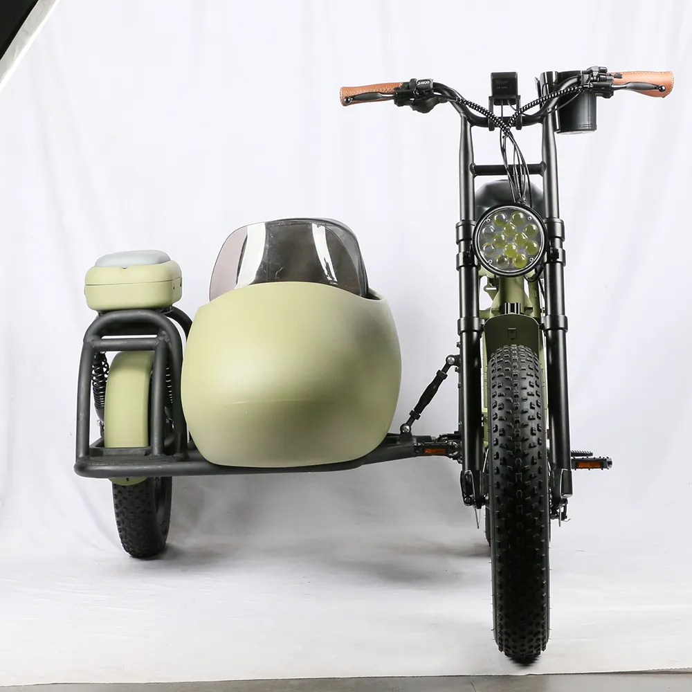 48V 35ah 리튬 배터리 자전거 뉴 패션 2-6 년 키즈 세발 자전거 사이드 카 트라이 사이클 화물 자전거 전기 세발 자전거