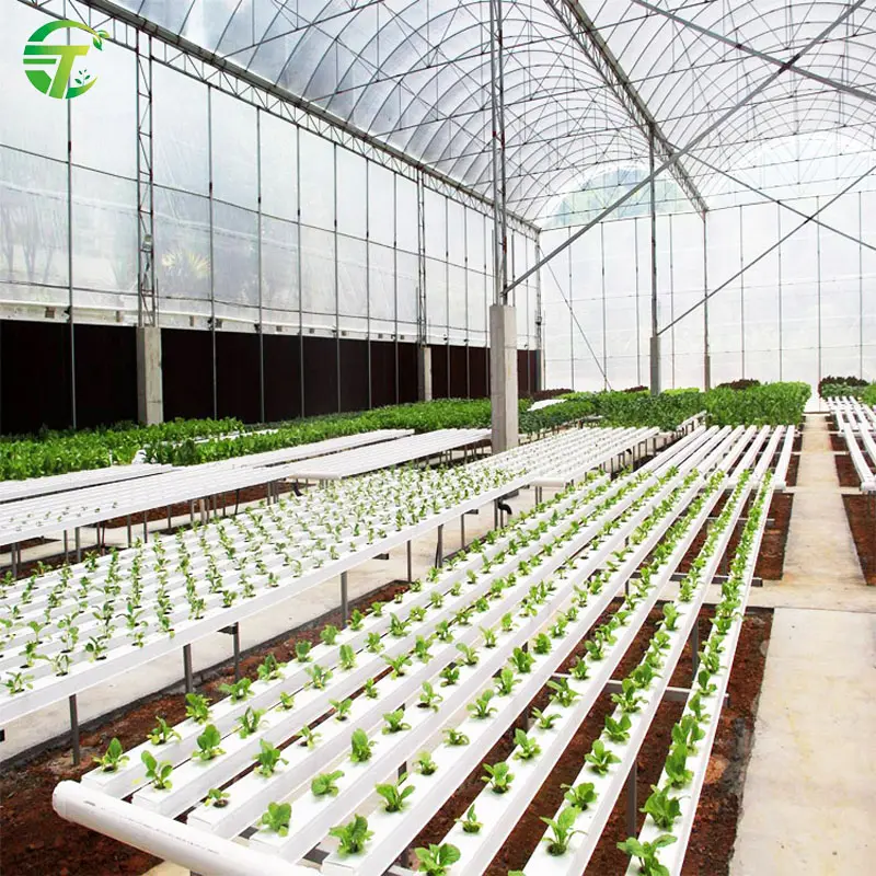 China fabricante aquaponics nft canal para estufa hidropônica