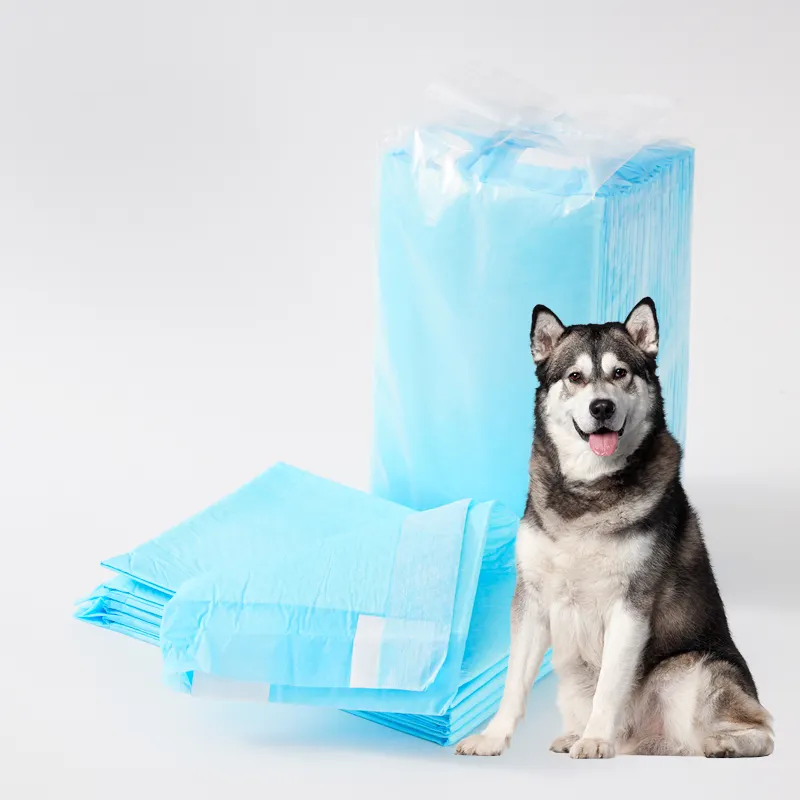 Promozione speciale imbottiture usa e getta per l'urina del cane a 5 strati assorbenti per cuccioli di animali domestici