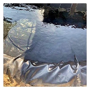 100% polietilen yüksek kalite en iyi fiyat HDPE geomembran 0.2mm-2.0mm - Product Image 1