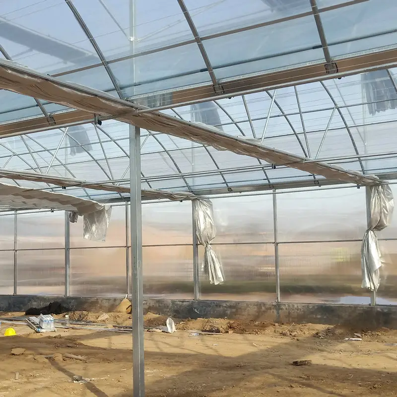 Sistema de cultivo vertical de invernadero de película plástica multi SPAN para agricultura grande