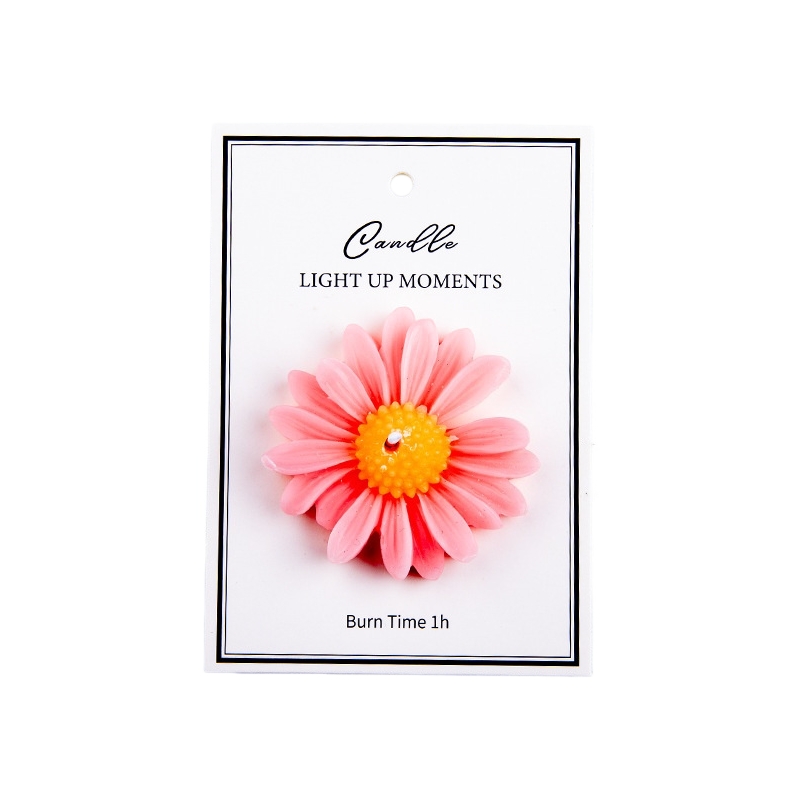 Pink-Daisy